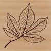 Nature's Beauty - Serrated Leaf A detailed vector illustration of a single leaf with serrated edges, suitable for various design applications.