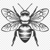 Artistic Insect In SVG Free Commercial Use Download