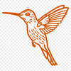 Stunning Flying Hummingbird Decal