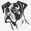 Artistic Boxer Vector Image