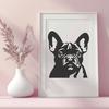 Beautiful French Bulldog In PNG Format