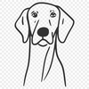 Weimaraner In PDF Format - Free Commercial Use License