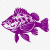 Beautiful Crappie In DXF Free Commercial Use Download