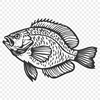 Free Stunning Fish Illustration