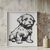 Stunning Havanese Drawing