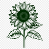 Beautiful Sunflower In PDF Free Commercial Use Download