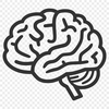 Brain Vector Image In PNG File Format For Free Download