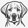 Stunning Dog Printable Artwork - Free SVG Download