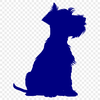 Sitting Miniature Schnauzer Vector Image