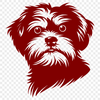 Stunning Havanese Clipart