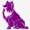 Stunning Shetland Sheepdog Illustration