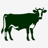 Free Cow PDF - Free Commercial Use Download