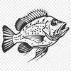 Artistic Fish Drawing