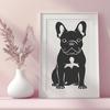 Beautiful Sitting French Bulldog - PNG