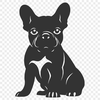 French Bulldog In PNGs - Free Commercial Use License