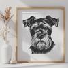 Free Miniature Schnauzer - Pet PDF