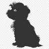 Creative Havanese In SVG - For Free Download, Commercial Use