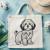 Havanese Vector Illustration In SVG, PNG, PDF And DXF Formats