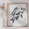 Beautiful Crappie DXFs - Free Download