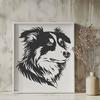 Beautiful Medium-Sized Dog Silhouette A portrait of a medium-sized Australian Shepherd dog with a furry coat, looking directly at the camera.