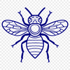 Unique Insect Vector Image DXF - Free Download