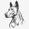 Stunning Dog In PDF - Free Digital Download