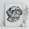 Free Shih Tzu - DXF Format