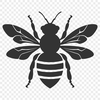 Stunning Bee - For Laser Project