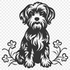 Free Havanese In SVG - Free Download