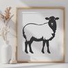 Stunning Sheep - PNG Format