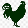 Beautiful Rooster PNG