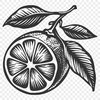 Free Lemon Decal - Free PNG