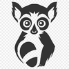 Beautiful Lemur Vector Image