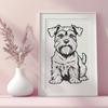 Beautiful Sitting Miniature Schnauzer - PDF