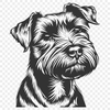 Miniature Schnauzer In PNG Format - Free Digital Download, Commercial Use