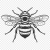 Free Insect - Laser DXF Free Download