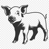 Pig Vector Drawing In SVG, PNG, PDF And DXF Formats