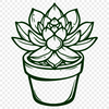 Unique Desert Plant Drawing PNG - Free Download