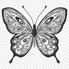 Beautiful Insect In PNG Format - Free Download