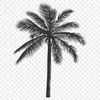 Creative Palm Tree In PDF - Free Download