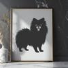 Stunning Pomeranian - Procreate PNG