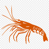 Unique Shrimp Design