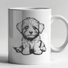 Free Havanese Image