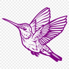 Stunning Hummingbird - DXF Format