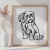 Stunning Sitting Shih Tzu In PNG - Commercial Use