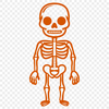 Standing Skeleton Vector Art - Free PDF