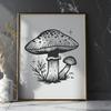 Stunning Mushroom - PDF For Commercial Use