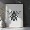 Beautiful Bee - Animal DXF