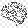 Beautiful Brain In PDF For Free Download