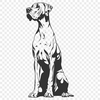 Stunning Great Dane Clip Art